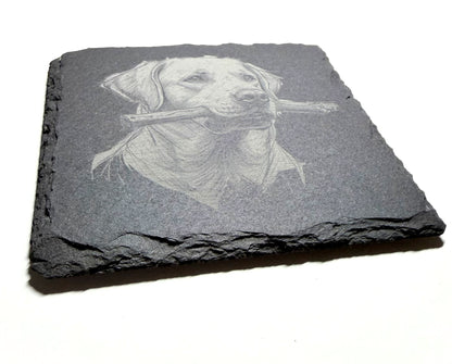 Engraved Labrador Retriever with Stick Slate Coaster – Handcrafted Dog Lover Gift